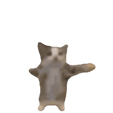 Happy cat.
