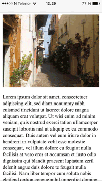 Screen with viewport meta tag.